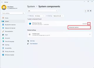 Windows Security advanced options