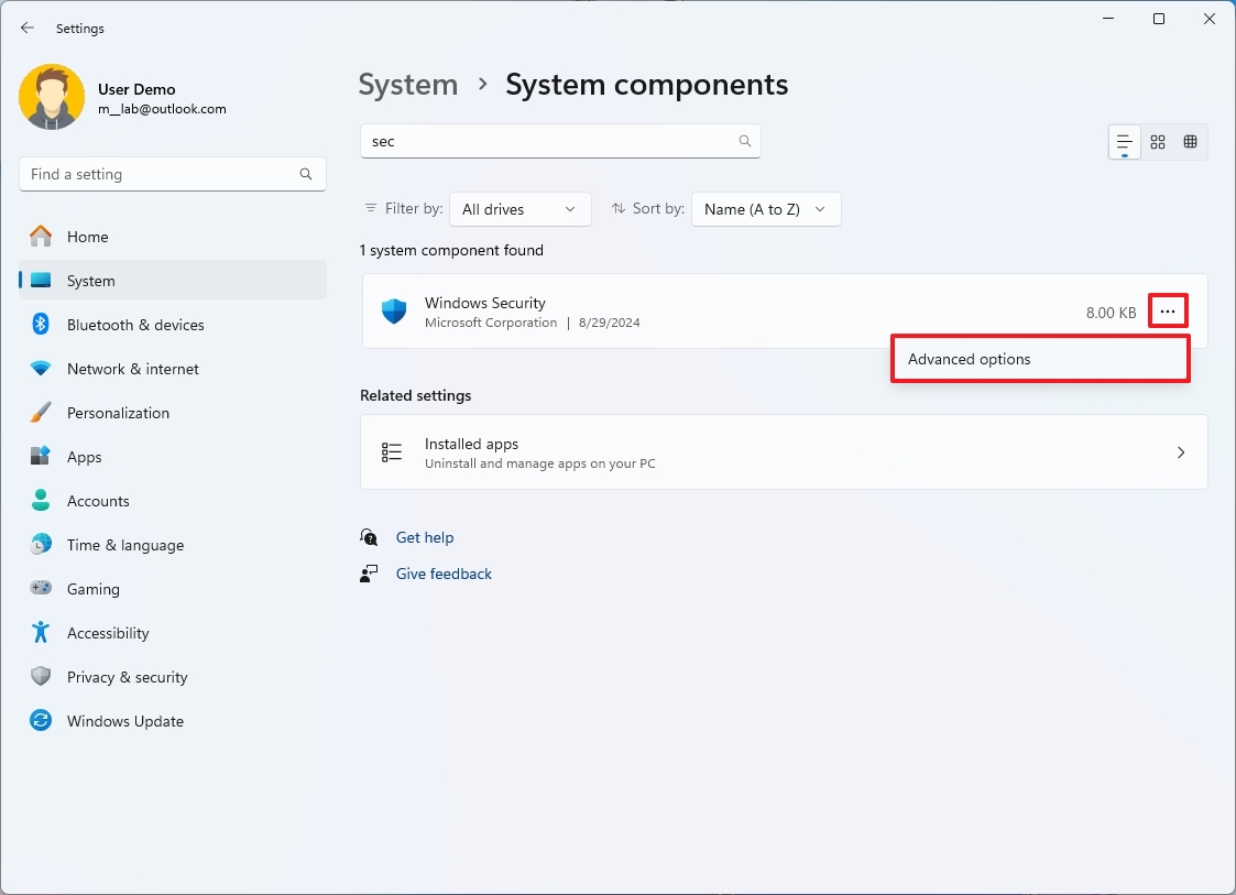 Windows Security advanced options