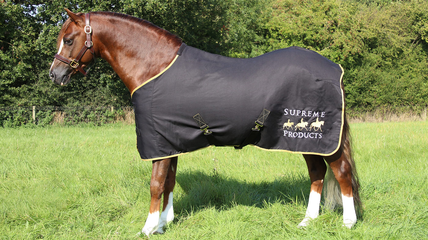 Supreme Products show rug for horses