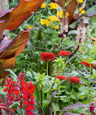 tropical style planting in a flowerbed