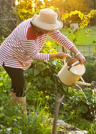 Woman wearing a hat gardening