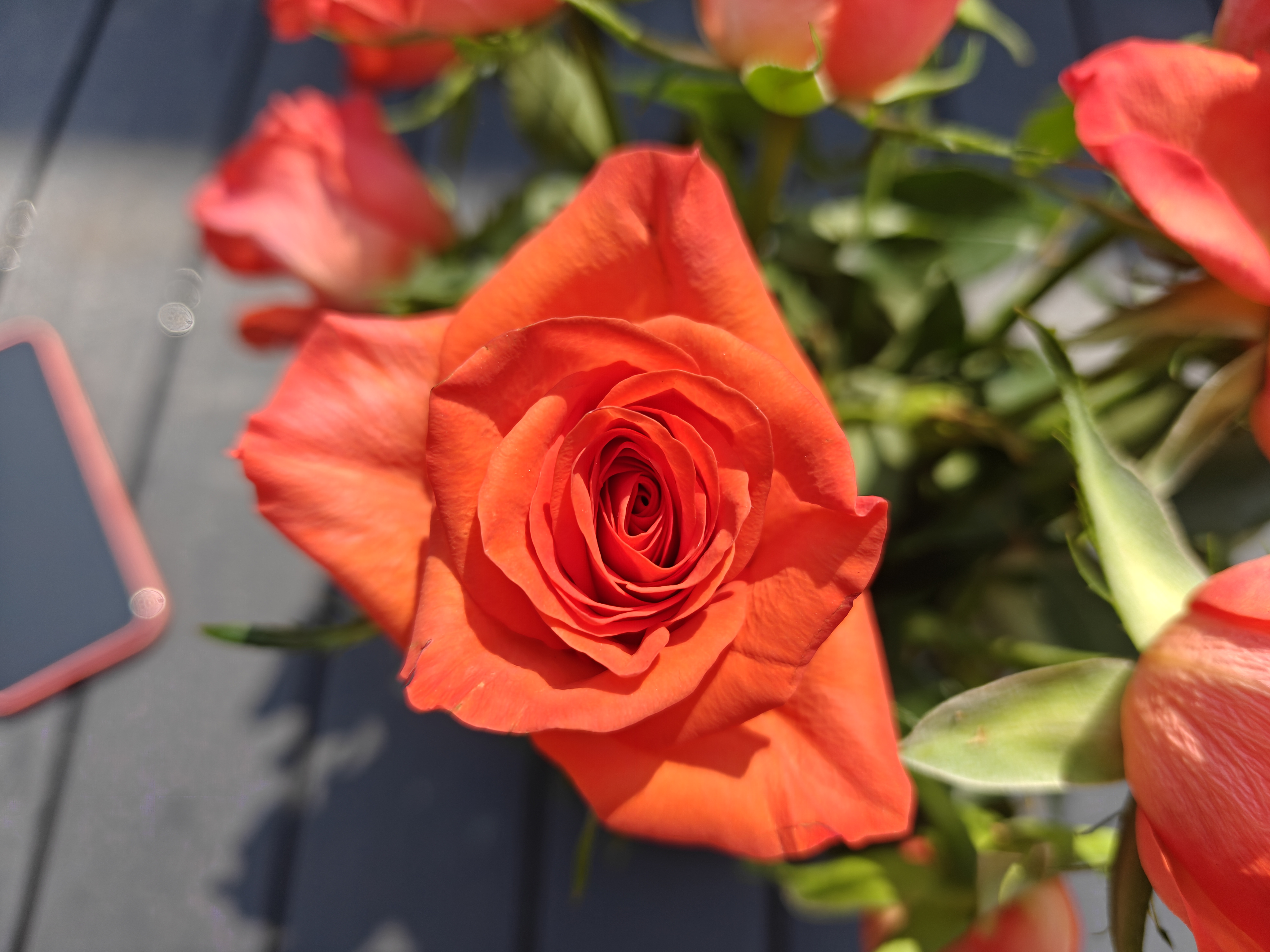 OnePlus 13 camera sample macro main