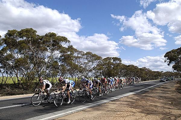 The chasing peloton on the short 46 kilometre stage from Manangatang to Tooleybuc.