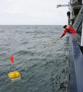 Retrieving the ocean bottom seismometers.