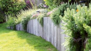 A garden fence with luscious plants on top