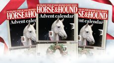 Horse & Hound Advent calendar