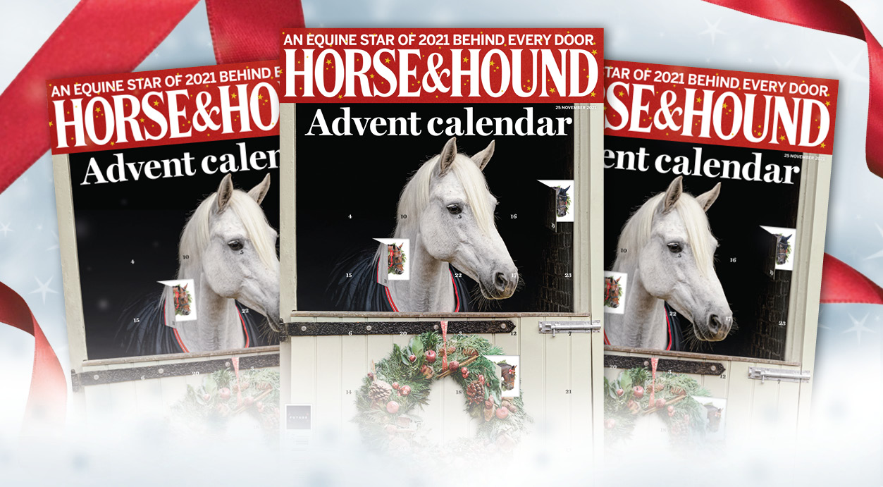 Horse &amp; Hound Advent calendar