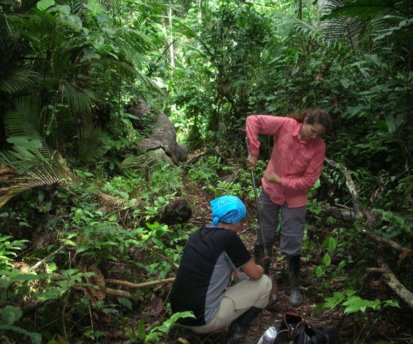 Crystal McMichael and Monica Zimmerman collect soil samples in the tropical rainforests of Peru.