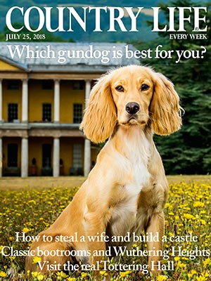 Country Life cover July 25 2018