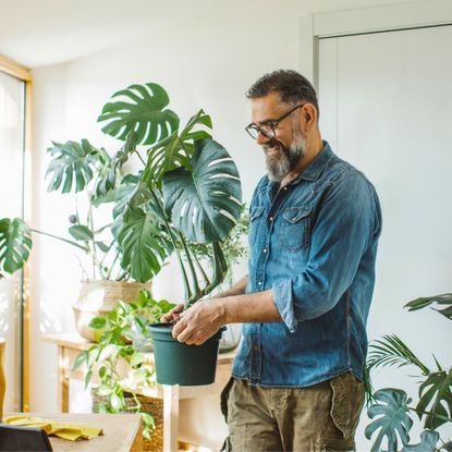 Man moving houseplant
