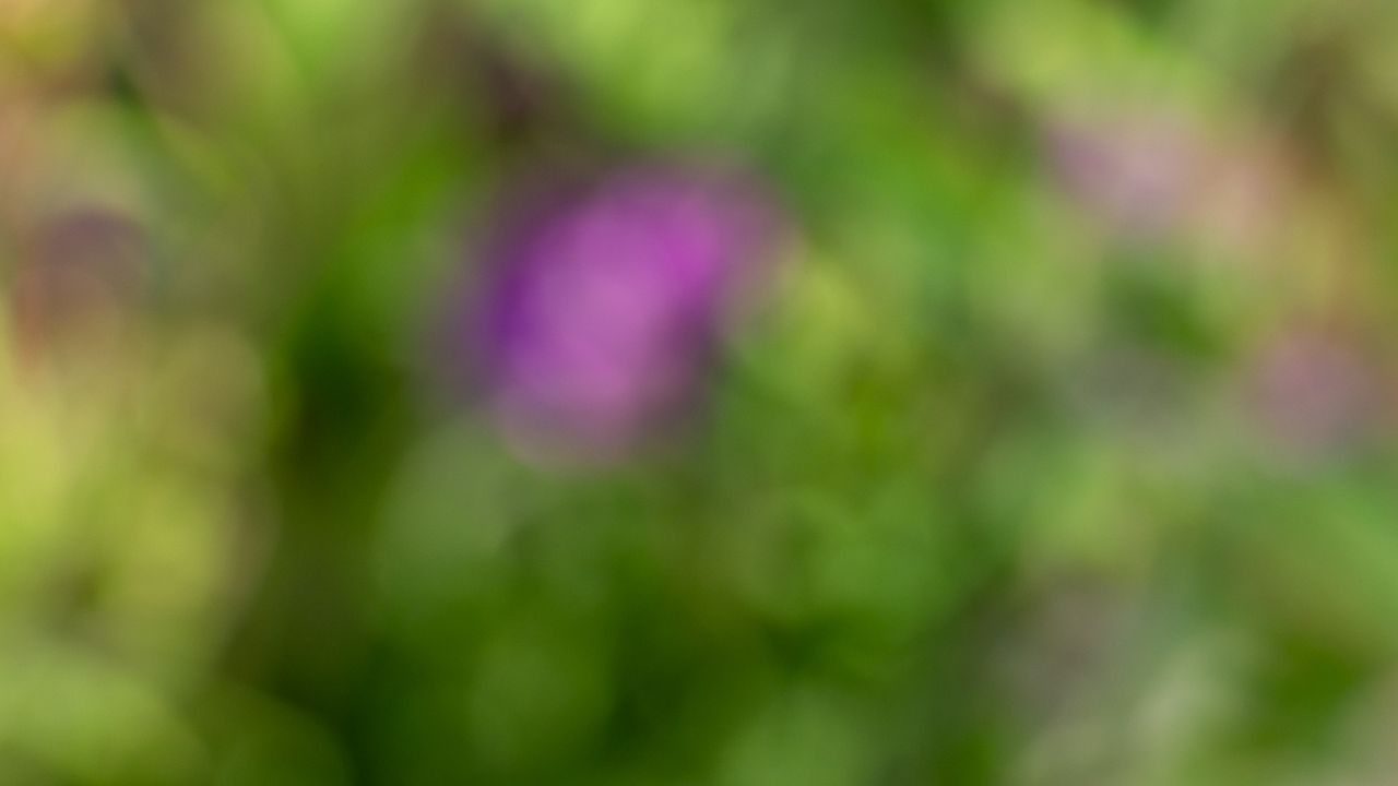 macro