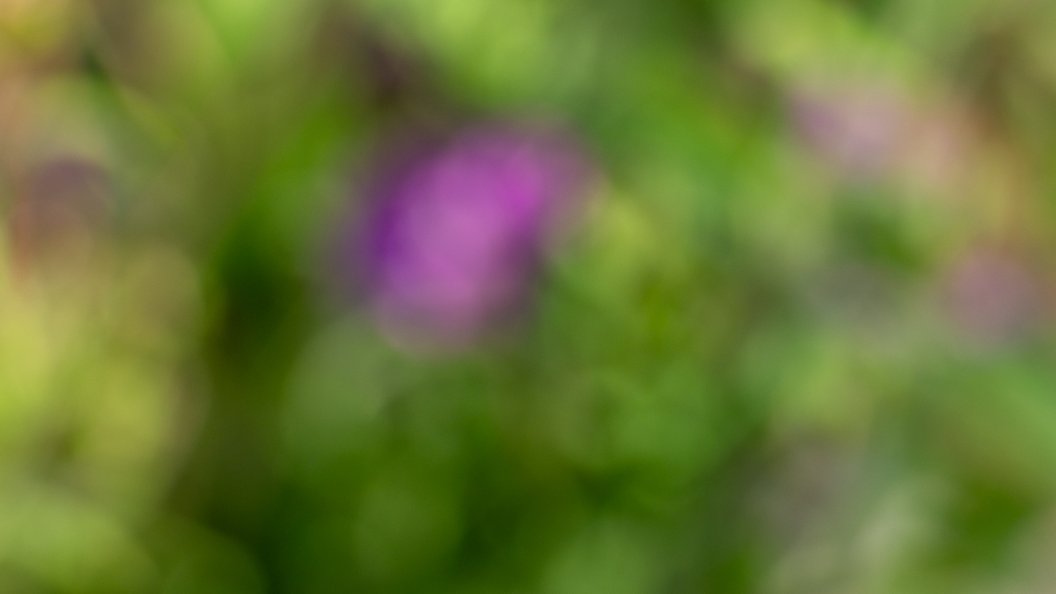 macro