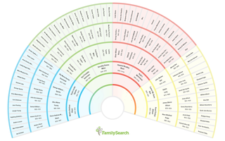 Family Search Circular Tree