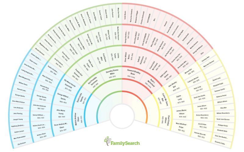 Family Search Circular Tree