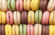 Multicoloured macaroons