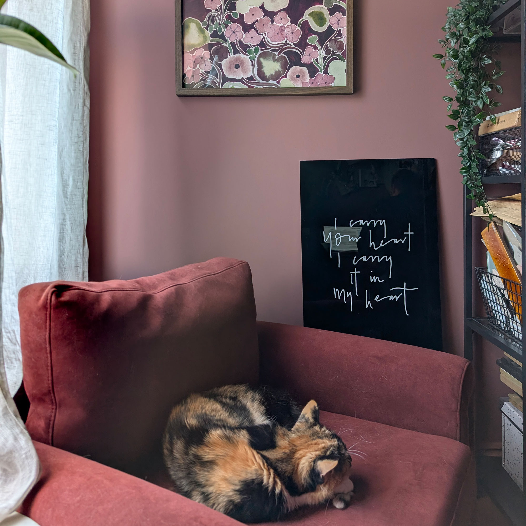 Cat curled up on red armchair in corner of pink room