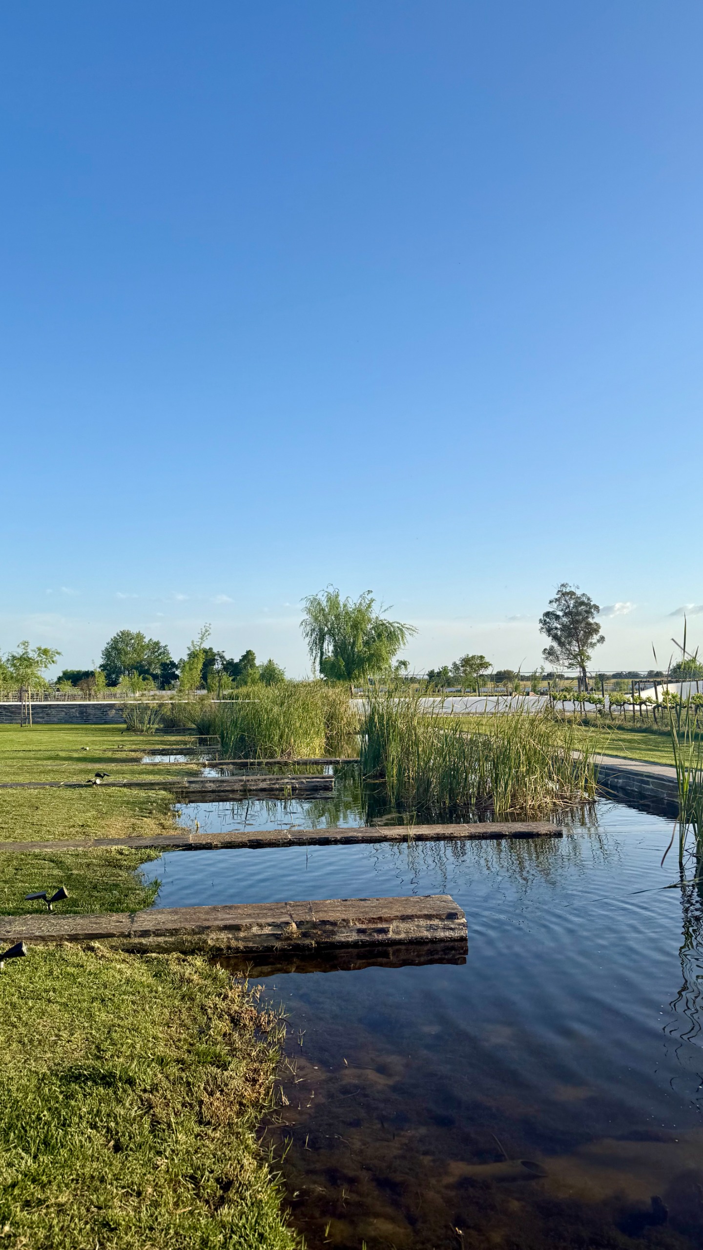 Quinta do Paral pond