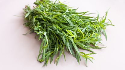 A bunch of tarragon on a white background