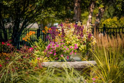 a garden with flowers in a container