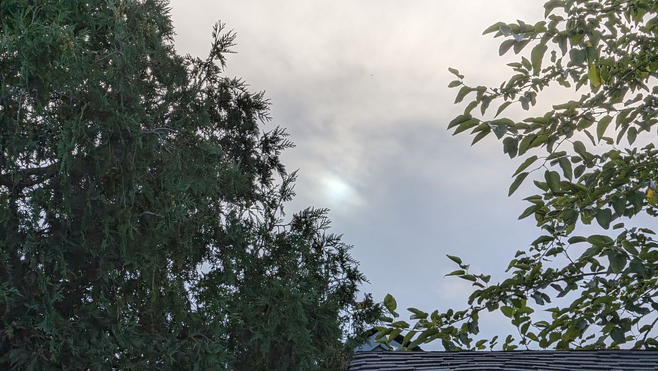 Google Pixel 11 Pro Fold REVIEW Photo Samples