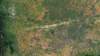 A satellite photo of Canada showing a long pale scar across an otherwise green landscape