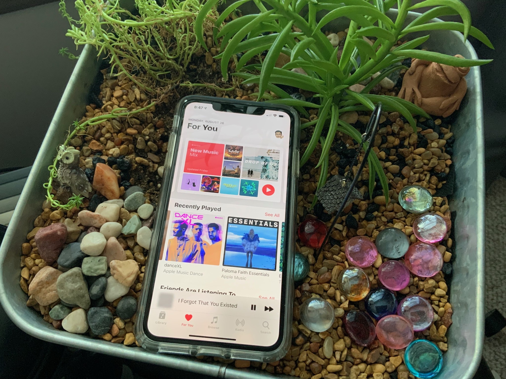 how-to-set-up-and-modify-your-user-profile-in-apple-music-imore