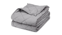 Bear Weighted Blanket: was $150 now $120 @ Bear