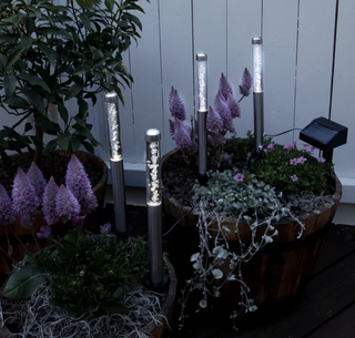 LED Pathway Light Set by House Additions in plants pots with lavender, and a white fence behind it
