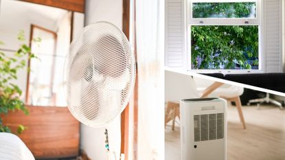 composite of electric fan, sash windows open in home and dehumidifier in home