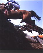 24E3F001-AA02-4D04-84B0-74BF4E08EC40.jpg