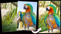 24. Make a tropical composite in Affinity Photo