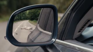 Unicorn carcass seen in a car mirror in Death of a Unicorn