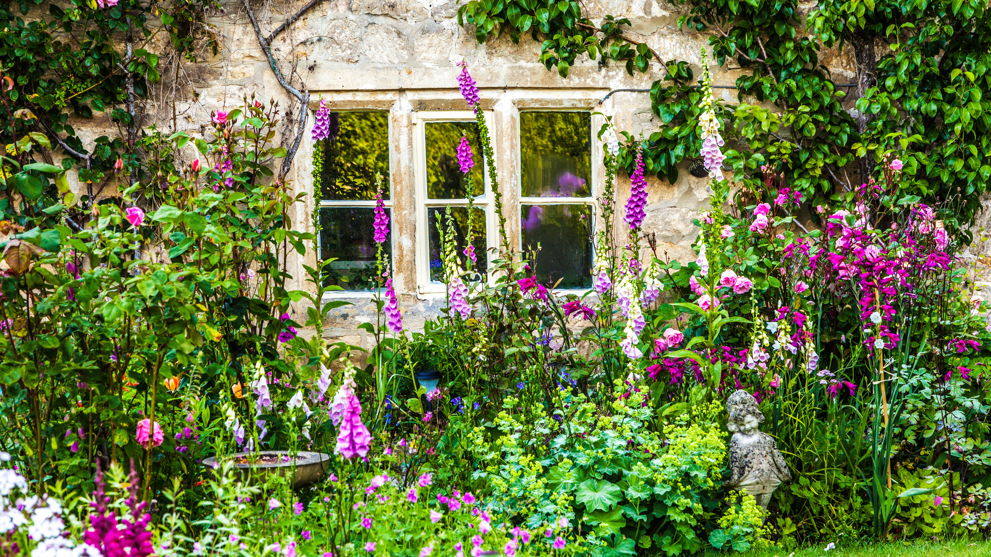 potager garden situated near a window for best vantage point