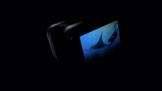 Screengrab taken from the GoPro new action camera teaser video, showing a person diving underwater with a manta ray