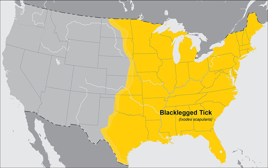 A map showing the range of the Blacklegged Tick