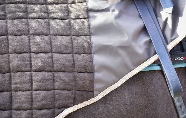 Thermatex trainer rug review