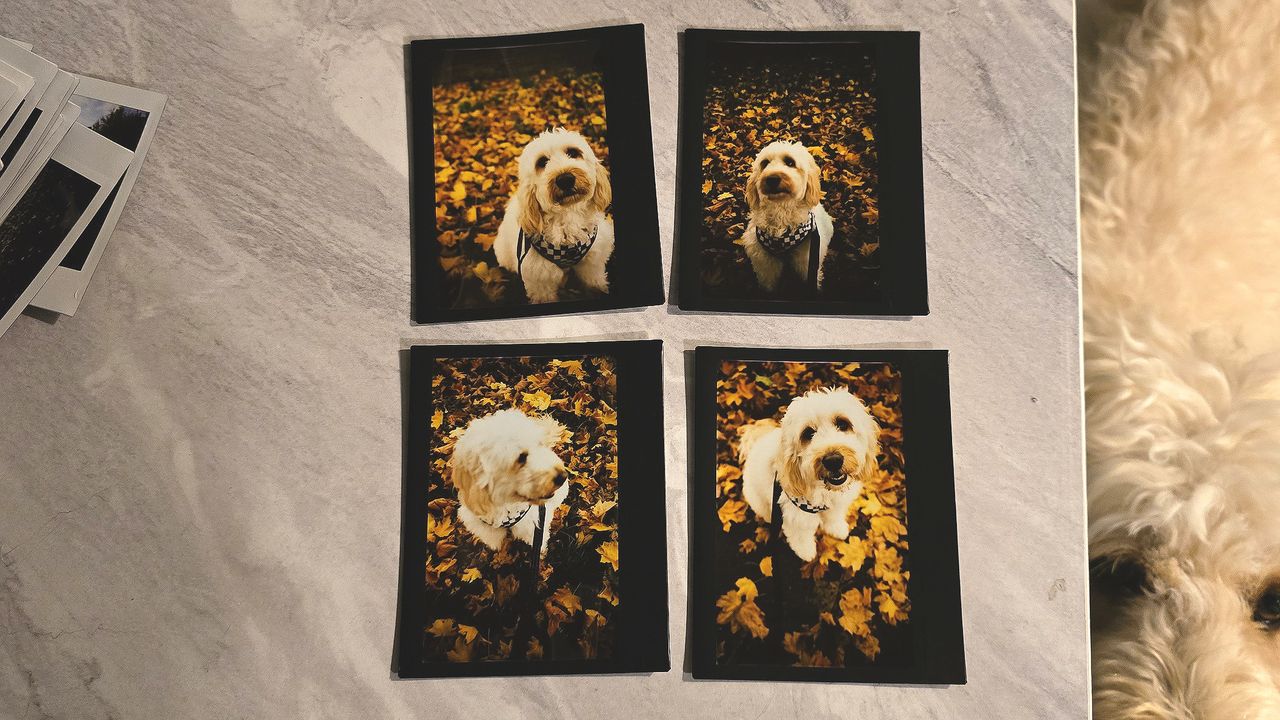 Lomo&rsquo;Instant Wide Glass sample images