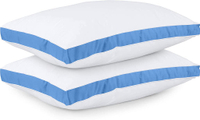 3. Utopia Bedding Gusseted Pillow Duo: