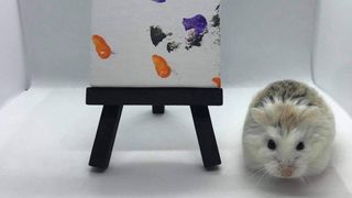 Pip the painting hamster is inspiring pet owners to take up art with their furry friend