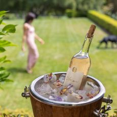 A bottle of wine in an ice bucket with Meghan Markle walking behind it in the grass