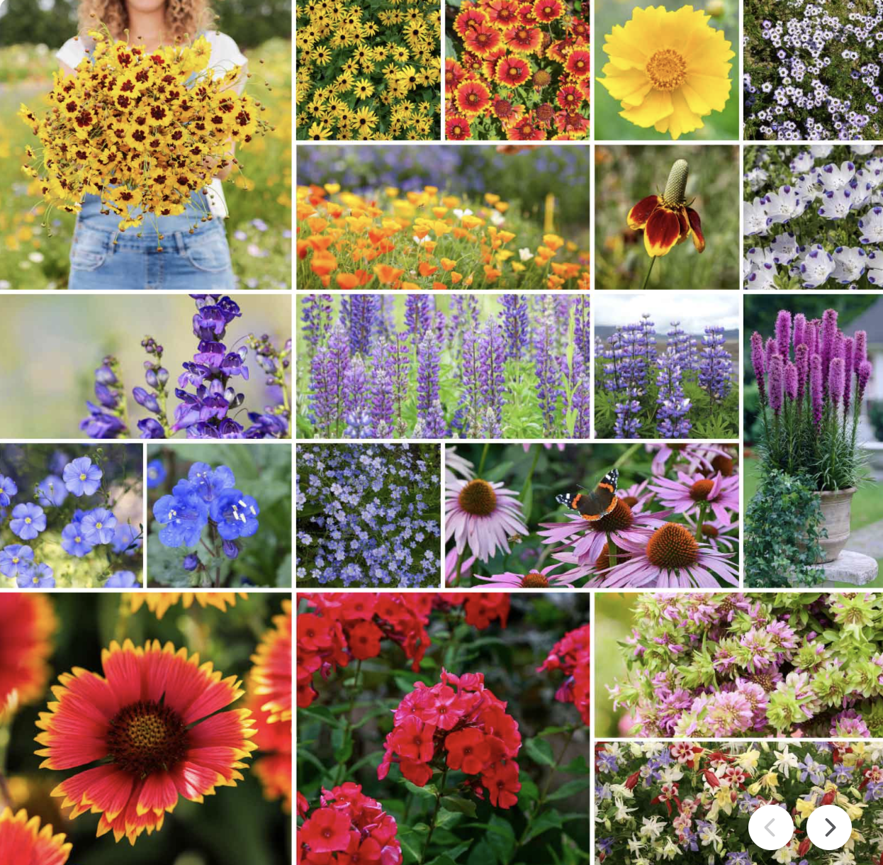 Eden Brothers, Native North American Wildflower Seed Mix