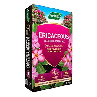 Westland Ericaceous Planting & Potting Mix 60 Litre