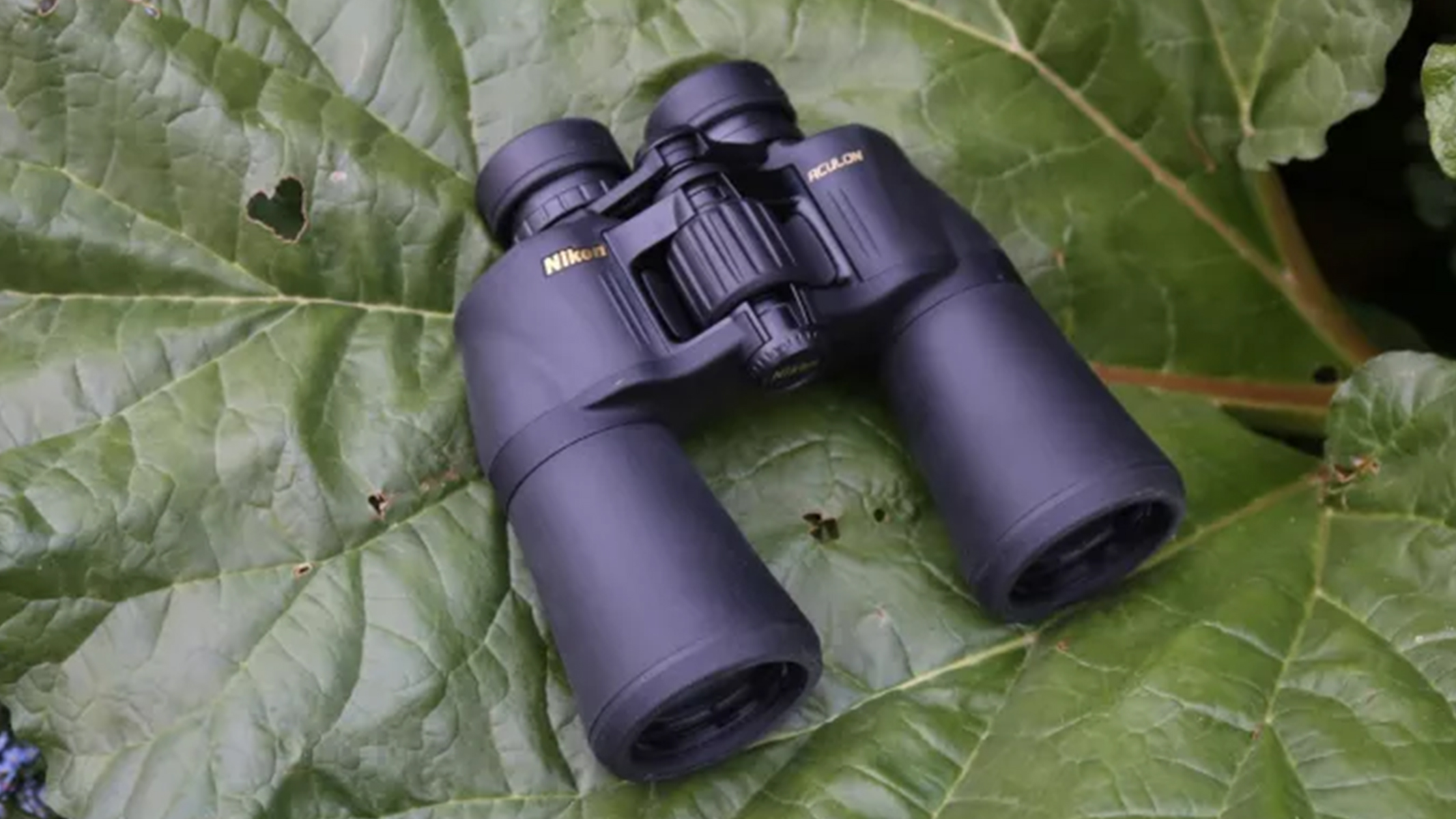 Review photo of the Nikon 10x50 Aculon A211