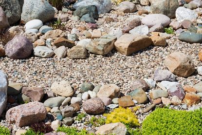 Caring For A Rock Garden Bed – How To Grow A Rock Garden