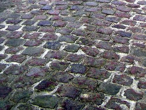 Typical Pav&eacute; du Nord riders will have to deal with 52.7 km of this stuff.