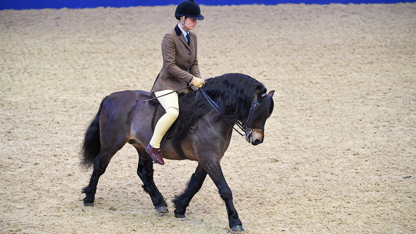 Olympia 18 12 2017 M&amp;amp;M Champ