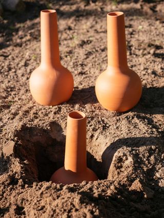 an olla buried in the ground