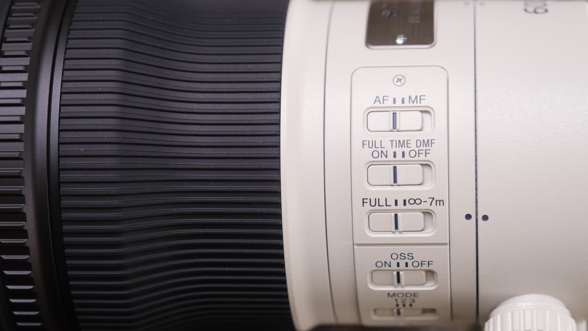 The Sony FE 600mm f/6.3 GM OSS photographed outdoors
