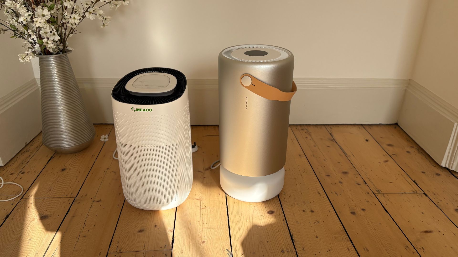 Testing the Molekule Air Pro Air Purifier