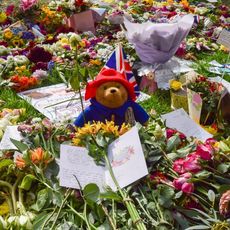 A Paddington Bear toy sits among the floral tributes for the Queen in Green Park. Many of the flowers were moved from outside Buckingham Palace while thousands of people also brought new floral tributes. Queen Elizabeth II died on September 8th, aged 96.
